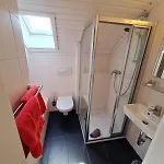 Tulpe Sankt Kanzian am Klopeiner See