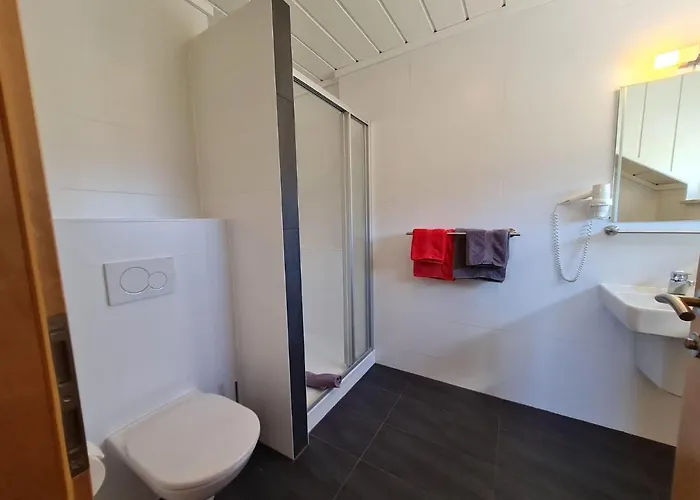 Guest house Tulpe 3*