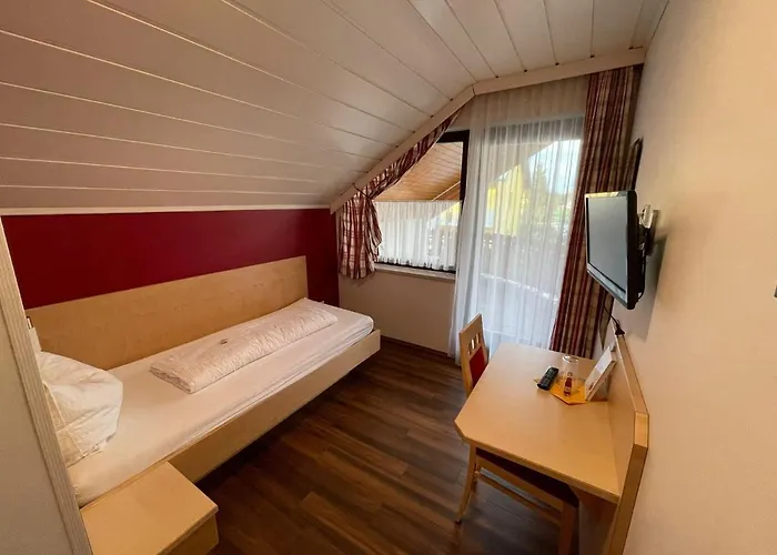 Tulpe Guest house 3*